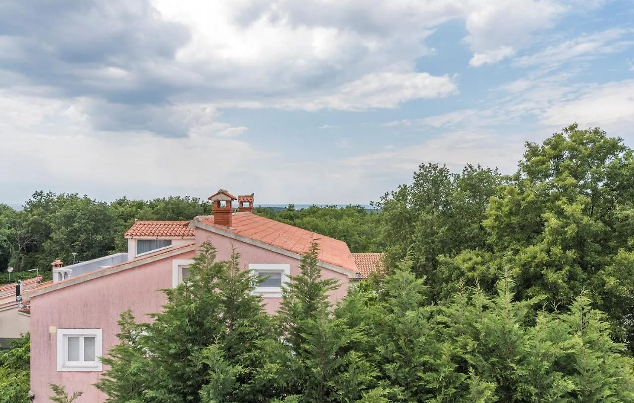 Villa Vallis Aurea For Max 10 Persons With Pool Kukci Porec 0*,